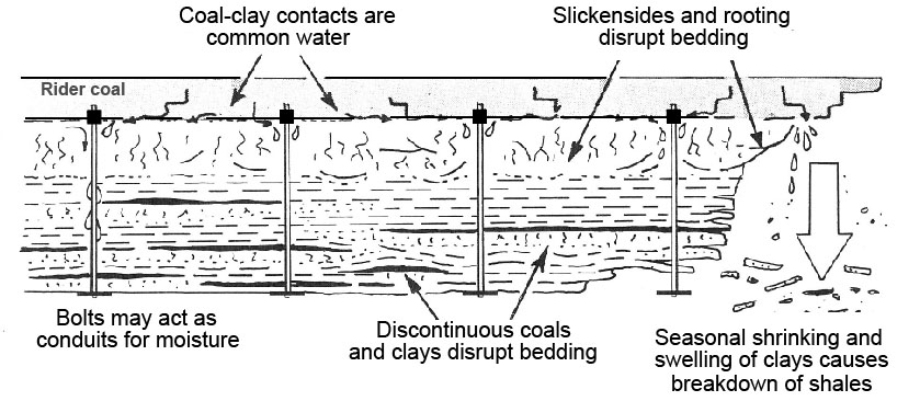 Coal riders and claystone roofs have several inherent weaknesses.